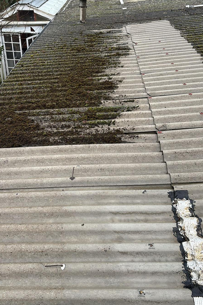 Après — Démoussage